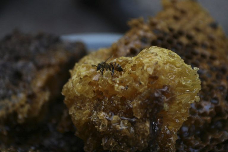 Jorge A. Perez Alfonso