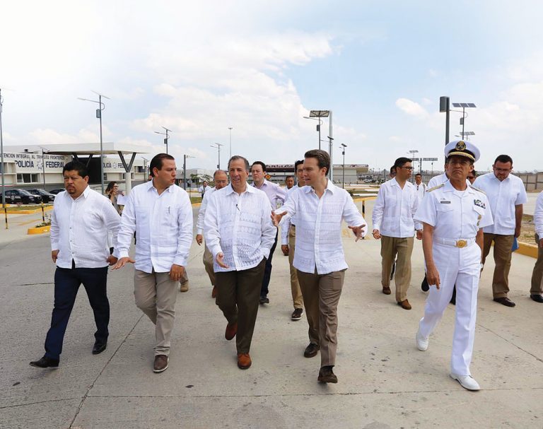 Semilla de desarrollo