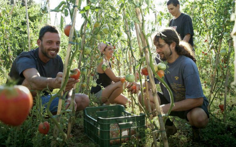 Especial_Permacultura