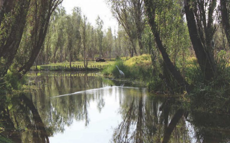 Especial_Xochimilco
