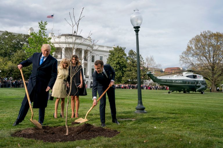 AP Photo,En esta fotografía de archivo del 23 de abril de 2018, Melania Trump, atrás a la derecha, y Brigitte Macron, atrás a la izquierda, observan cómo el presidente Donald Trump y su homólogo francés Emmanuel Macron participan en una ceremonia de plantación de un árbol simbólico en el jardín sur de la Casa Blanca en Washington. El roble que Macron le regaló a Trump durante la visita de Estado a Estados Unidos el año pasado murió. (Foto AP/Andrew Harnik, Archivo)
