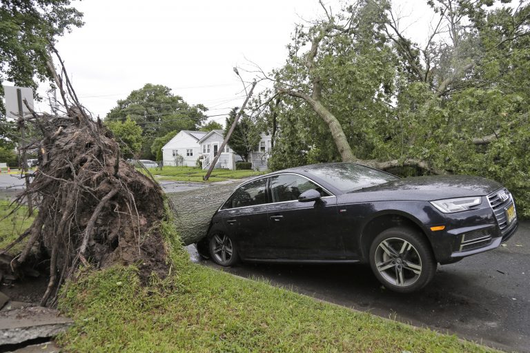 AP Photo,Un automóvil aplastado bajo un árbol caído en la ciudad de Neptune, Nueva Jersey, el martes 23 de julio de 2019. Tormentas poderosas azotaron el estado el día anterior. (Foto AP/Seth Wenig)