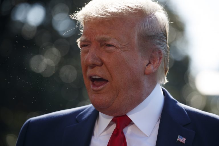 AP Photo, Donald Trump,El presidente Donald Trump habla con la prensa en el jardín sur de la Casa Blanca, Washington, 30 de julio de 2019. (AP Foto/Evan Vucci)