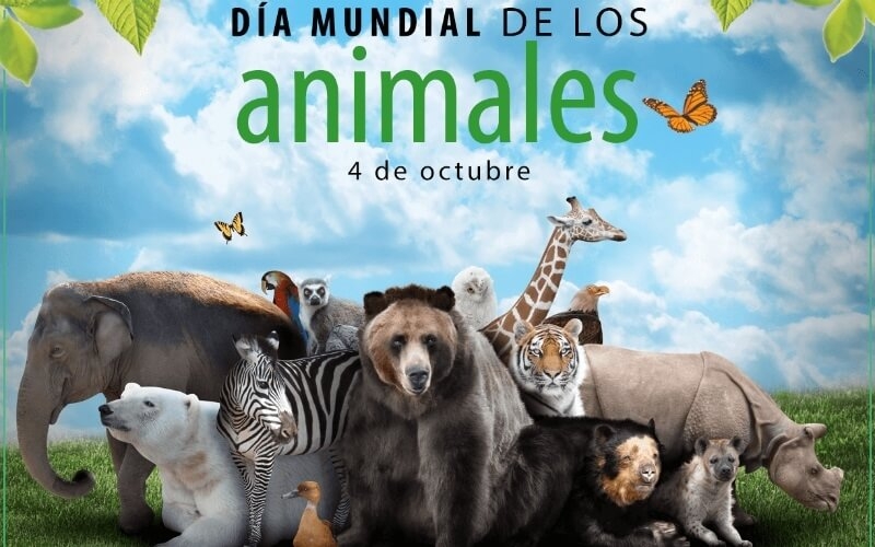 Día Mundial de los Animales