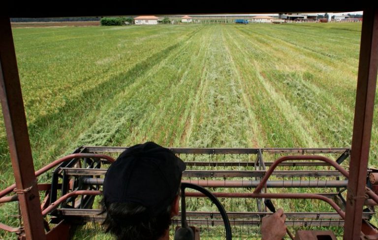 LYNXMPEG1I00B.jpg,Imagen de archivo. Un agricultor cosecha arroz en Sorriso, en el estado Mato Grosso del oeste de Brazil. 28 de febrero de 2008. REUTERS/Paulo Whitaker; Crédito: Paulo Whitaker, Reuters
