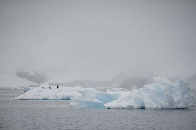 LYNXMPEG1I0Y8.jpg,Foto de archivo ilustrativa de un grupo de pingüinos en un iceberg en Andvord Bay, en la Antártida. 
Feb 14, 2018. REUTERS/Alexandre Meneghini; Crédito: ALEXANDRE MENEGHINI, Reuters