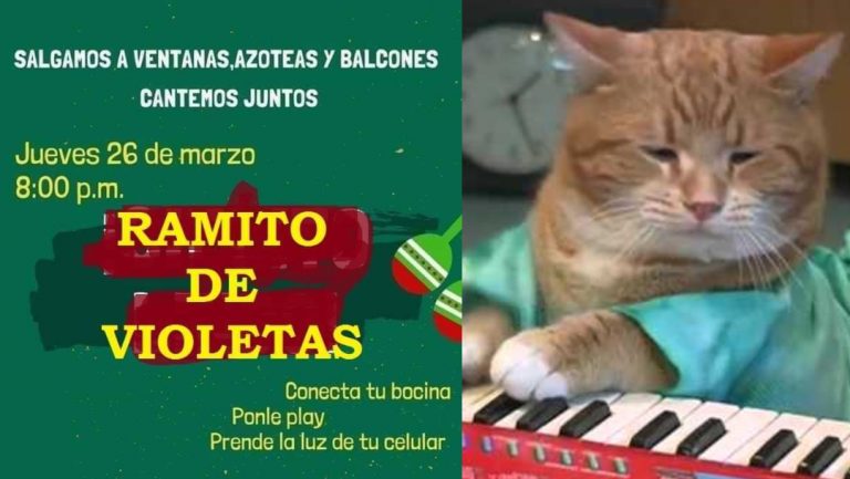 llaman-cantar-ramito-de-violetas-cuarentena-coronavirus-mexico