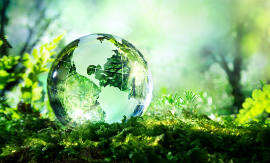 _naturaleza_sociedad_ok