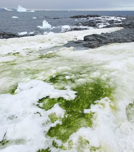 EYe1kRgX0AA4sF8.jpg432