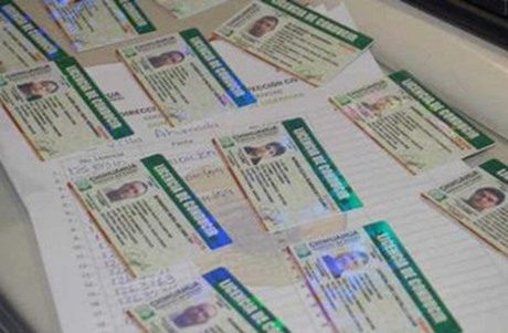 licencias_de_conducir1