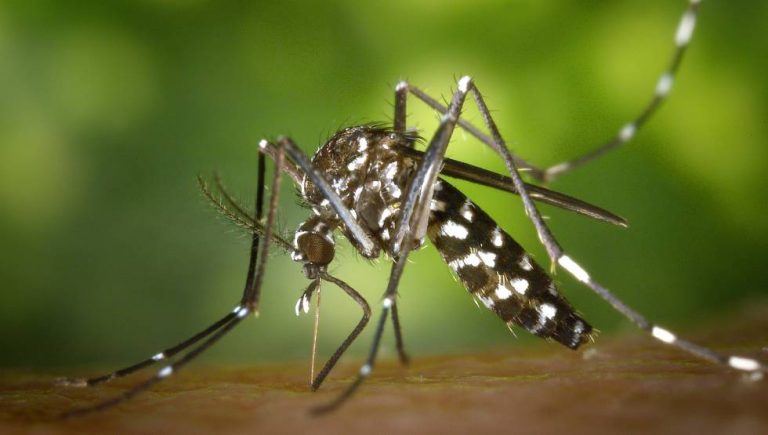 1580745722_302298_1580747507_noticia_normal