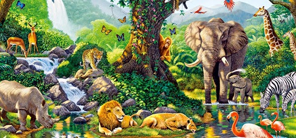 nuestra-responsabilidad-con-los-animales-600x280