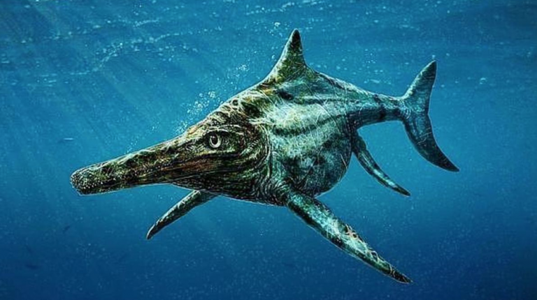 Screen Shot 2022-02-09 at 2.34.03 AM