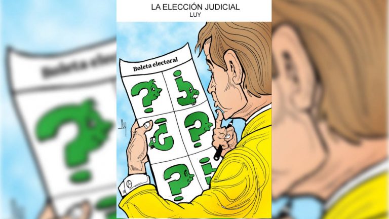 la eleccion judicial Luy